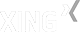 Xing Profil