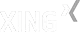 Xing Profil